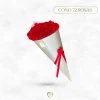 Cono de Rosas | 72 Unidades | Grande
