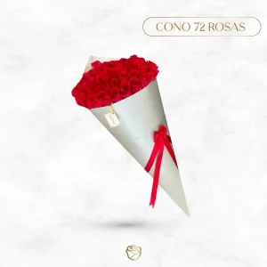 Cono de Rosas | 72 Unidades | Grande