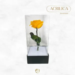Rosa Preservada | Acrílico | Iluminada