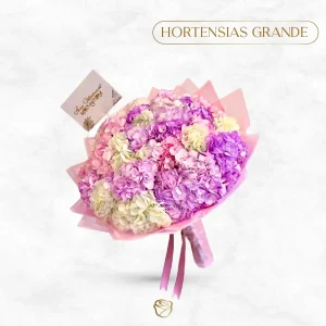 Buchon de Hortensia | Grande