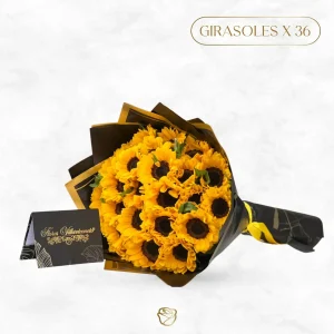 Buchón de 36 Girasoles | Gigante