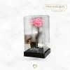 Rosa Preservada | Base Acrílico