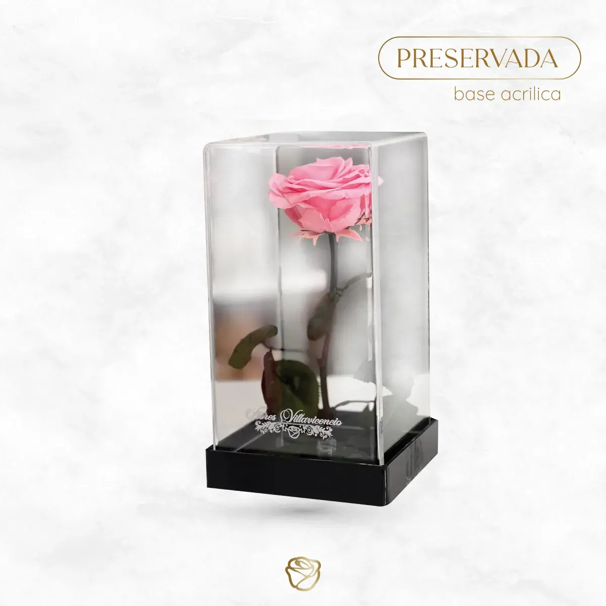Rosa Preservada | Base Acrílico