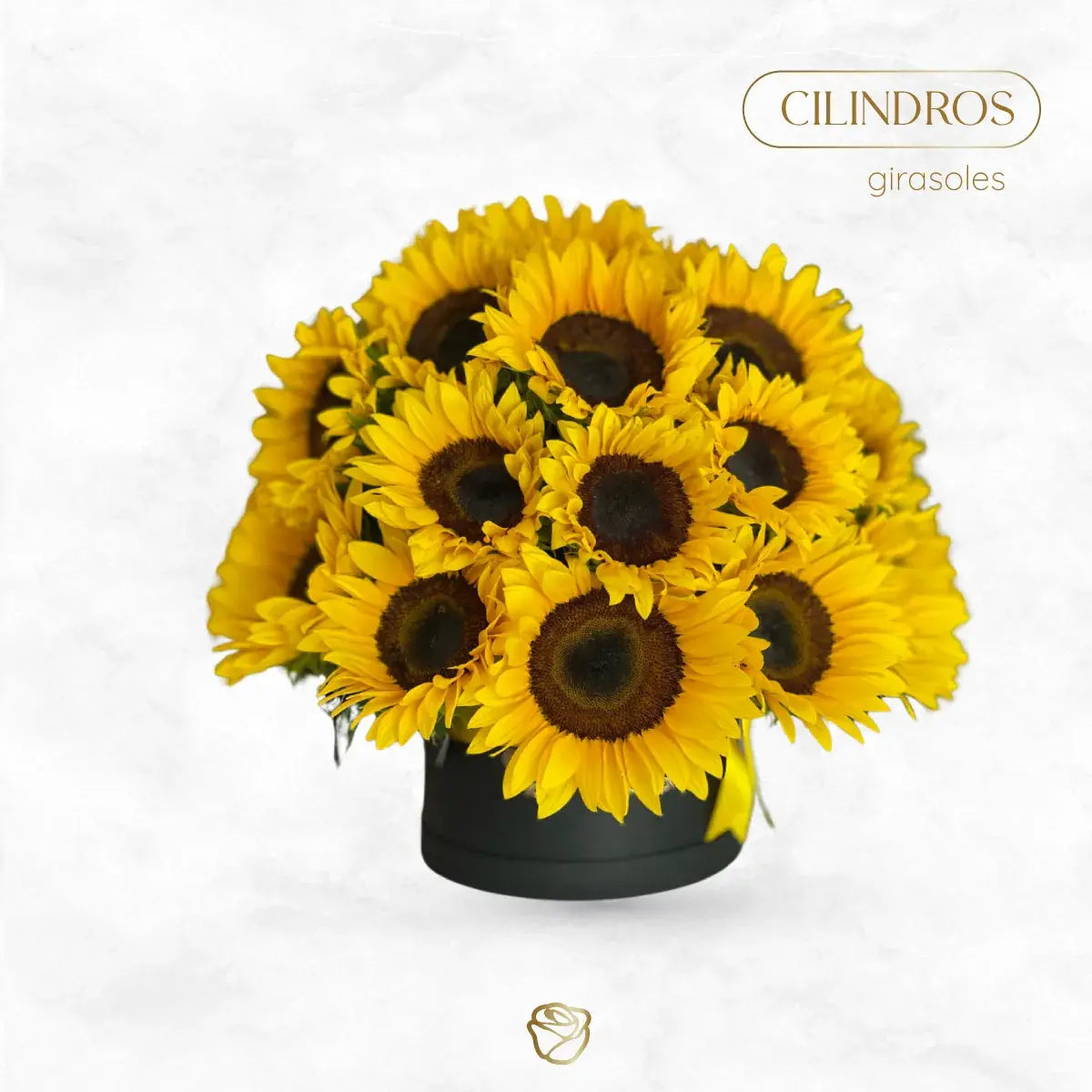 Caja Cilindro de Girasoles | 30 a 36 Unidades | Grande