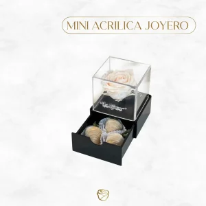 Mini Rosa Preservada | Acrílico Joyero