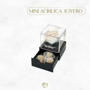Mini Rosa Preservada | Acrílico Joyero