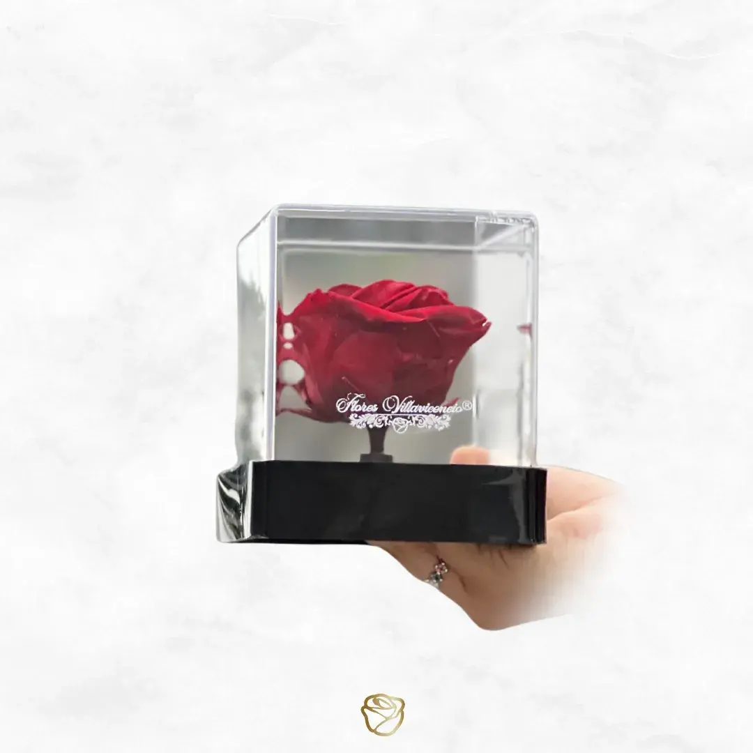 Mini Rosa Preservada | Acrílico