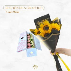 Buchón de 6 Girasoles | Caja Pequeña 12 Fresas Chocolatada
